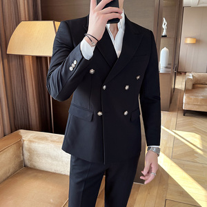 秋冬西服套装正装休闲新郎婚礼西装两件套A207-LJT806-P210图片