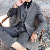 20秋冬西装套装时尚修身男士商务格子西服三件套A470-TZ37-P235，男装西服套装，电商A207