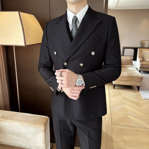 秋冬西服套装正装休闲新郎婚礼西服两件套A207-LJT808-P210图片