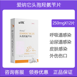爱纳它头孢羟氨苄片宠物消炎药猫肺炎尿道感染呼吸道皮肤病感染