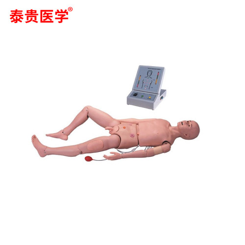 Gdw -3000成人护理及CPR模拟人心肺复苏穿刺注射导尿鼻饲教学模具