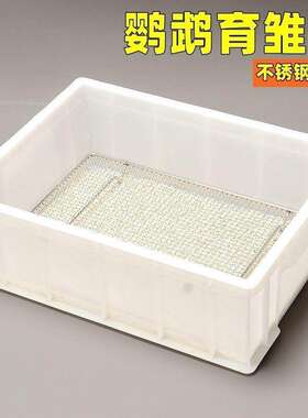 鹦鹉育雏饲养框不锈钢底网雏鸟幼鸟饲养盒子用品保温箱繁殖鸟站网