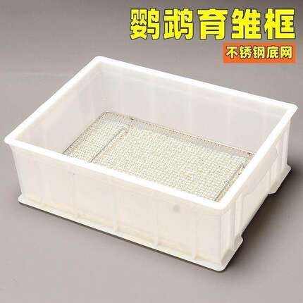 鹦鹉育雏饲养框不锈钢底网雏鸟幼鸟饲养盒子用品保温箱繁殖鸟站网