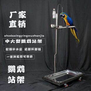 大型鹦鹉站架双鸟鹦鹉鸟架不锈钢架子栖息超大号架养落地金刚