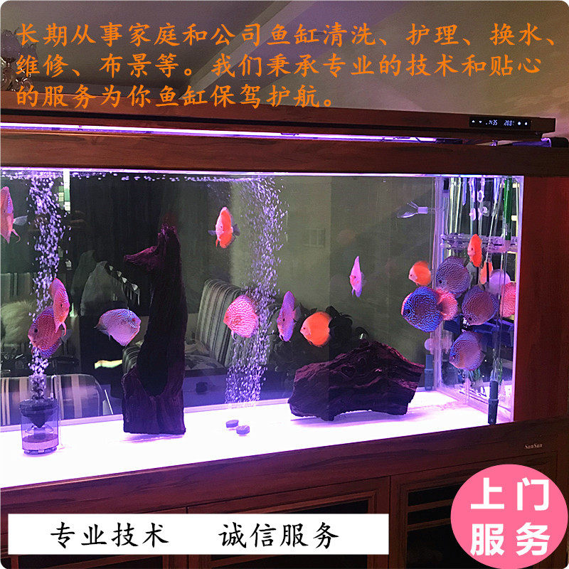 上门清洗护理鱼缸鱼池维修造景换水搬家长期家庭公司鱼缸服务