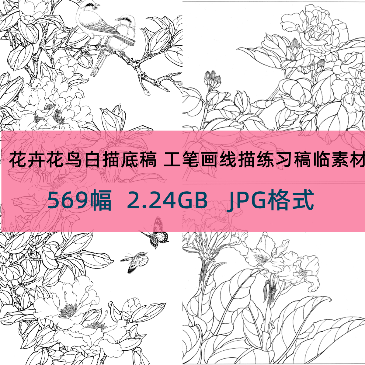 花卉花鸟白描底稿 工笔画 国画高清图片 线描练习稿临素材