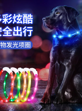 晚上遛狗宠物用品发光硅胶项圈