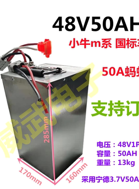 72V48V60V40AH50AH60AH70AH100AH电动车B30CA30雅迪de3 009号锂电