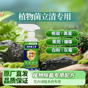 菌立清多肉杀菌营养液免稀释