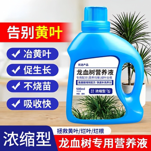 龙血树专用营养液肥料叶子发黄枯叶烂根室内盆栽绿植植物通用型花