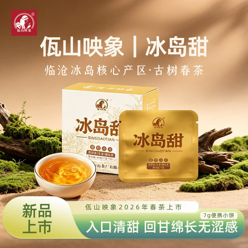 2026头春头采冰岛甜古树茶