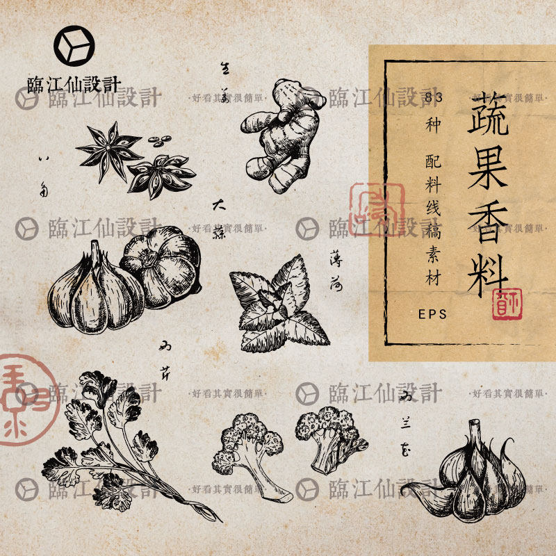 手绘线稿香料蔬菜水果线描八角茴香薄食材封面装饰设计素材AI矢量