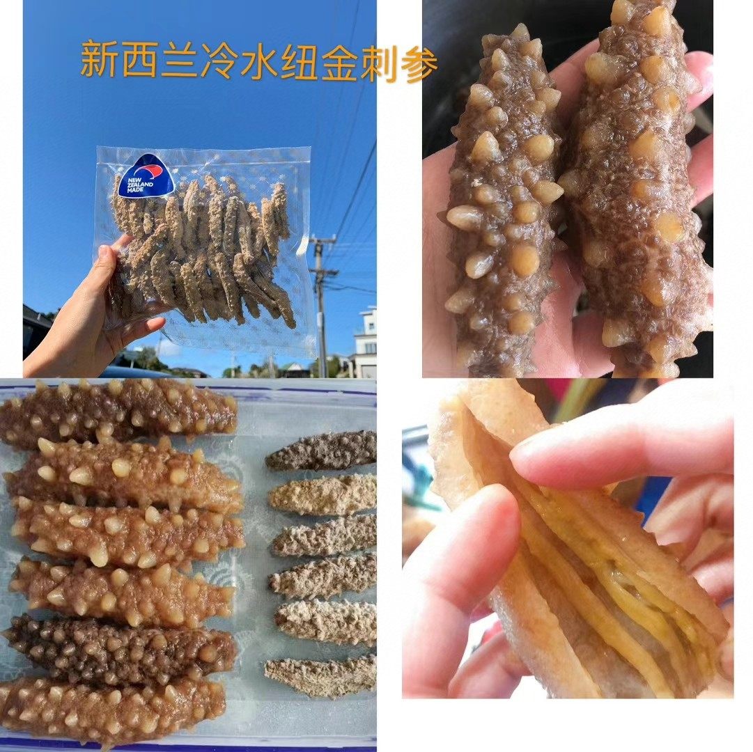 新西兰纽金参 本土深海冷水金刺参淡干海参干货正品 野生刺参金参