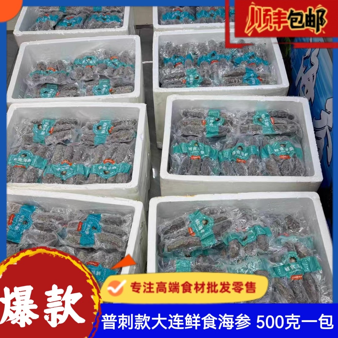 淡季引流爆款 普刺款鲜食海参 大连深海野生底播海参辽刺参干货