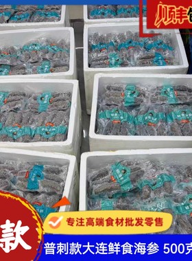 淡季引流爆款 普刺款鲜食海参 大连深海野生底播海参辽刺参干货