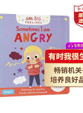 有时我很生气 英文原版绘本 Little Big Feelings Sometimes I Am Angry 儿童情绪管理 情商培养 精装纸板翻翻书 搭我可以有耐心