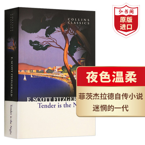 夜色温柔英文原版文学自传小说
