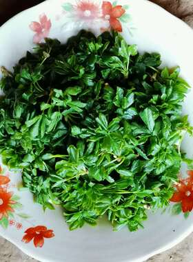 甘肃深山特产五爪子刺五加五撮菜五加皮五叶菜时令新鲜速冻山野菜