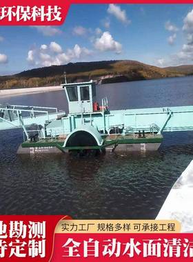 清洁船保洁船DFBJ110型全自动明轮驱动清理水草水葫芦芦苇垃圾