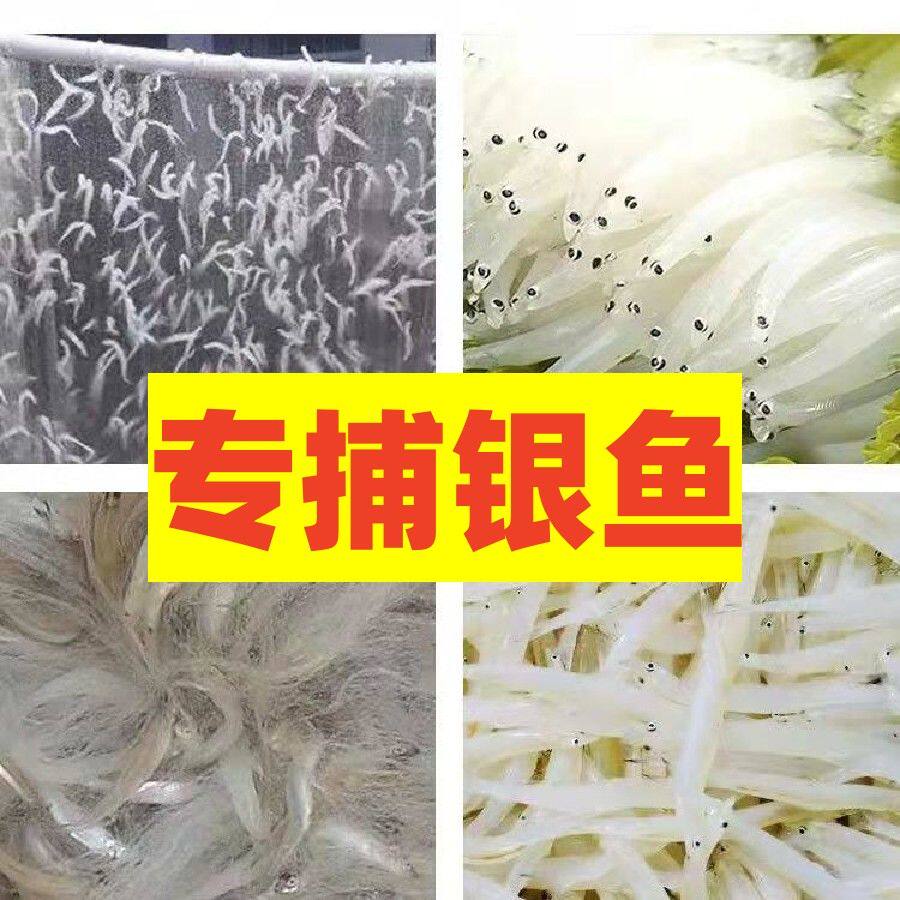 单层银鱼粘网浮网沉网银鱼子挂网