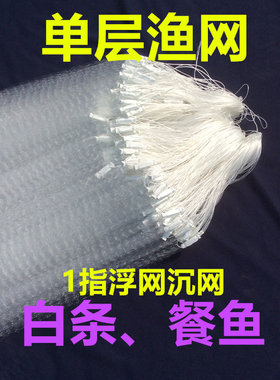 单层浮网白条渔网粘网细软丝鱼网