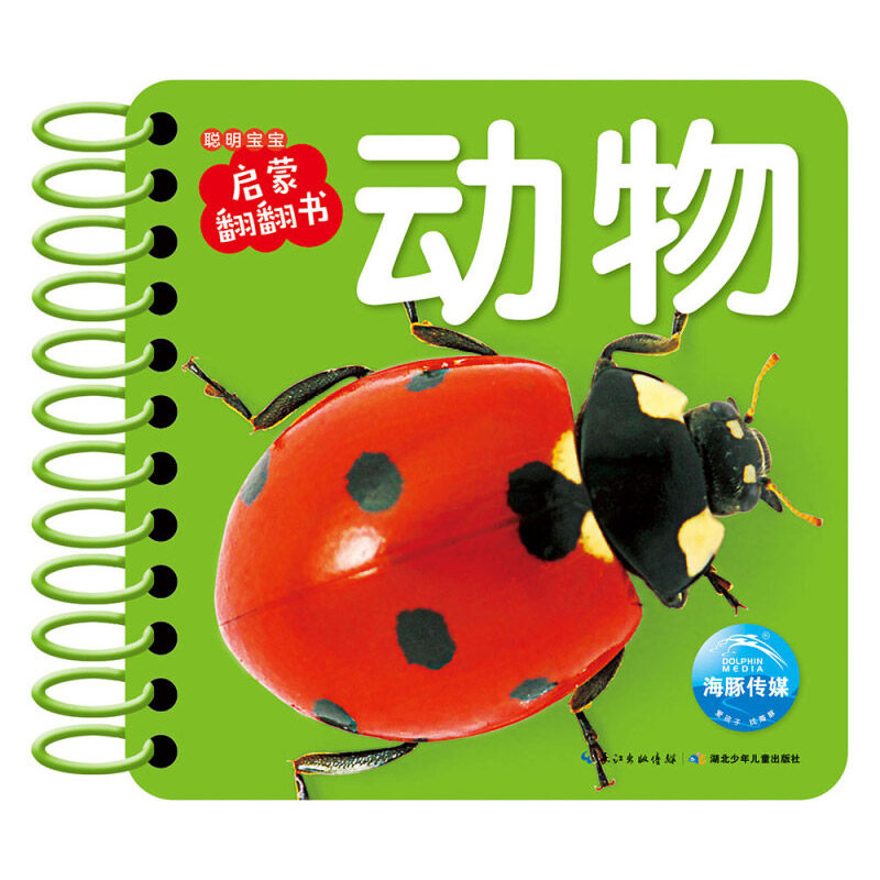 合作(do)聪明宝宝启蒙翻翻书 动物水果蔬菜儿歌谜语拼音识车识