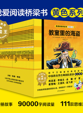 我爱阅读丛书经典系列桥梁书黄色全套30册完美公主教室里的海盗如果我是老师索尼娅小秘密会飞鞋子夏天穿棉袄男孩小学二年级书籍