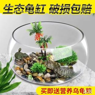 桌面创意玻璃鱼缸小型客厅圆形水培加厚迷你金鱼家用龟缸大号圆球
