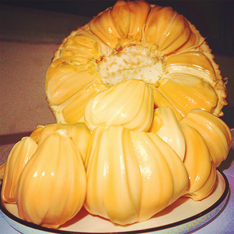 越南红肉菠萝蜜红心波罗蜜11-13斤大果苞树上熟新鲜水果组合装,水产肉类/新鲜蔬果/熟食,菠萝蜜,淘宝优惠券,粉丝福利购,淘宝优惠卷