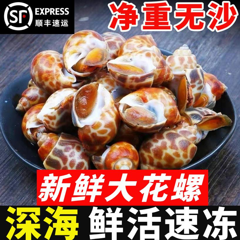 花螺鲜活新鲜冷冻海螺特大号东风螺泥螺海鲜水产贝类商用海鲜水产