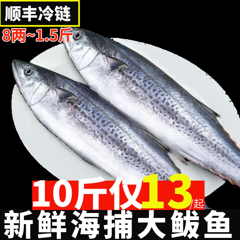 大鲅鱼马鲛鱼整条冷冻