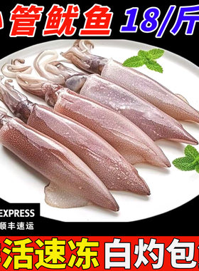 小管鱿鱼白灼鱿鱼新鲜冷冻