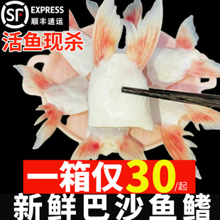 巴沙鱼鱼鳍鱼鱼油海鲜鱼翅鱼生鲜鲜冻鱼肥油水产商用