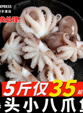 小八爪鱼冷冻商用新鲜章鱼爆头鲜活海鲜火锅迷你小章鱼小八爪鱼