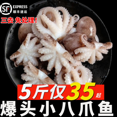新鲜小八爪鱼新鲜爆头新活