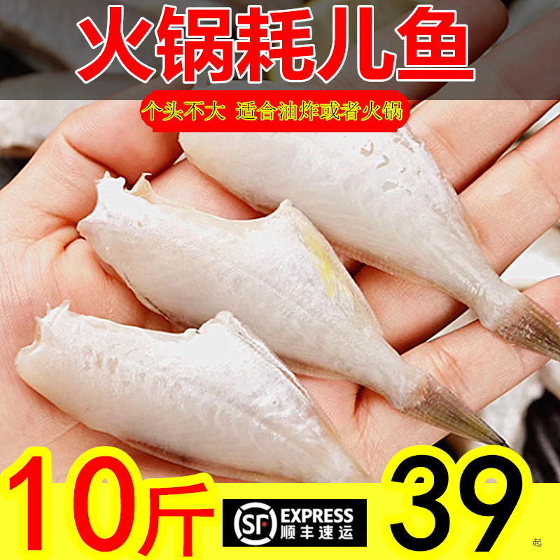 新鲜耗儿鱼冷冻中号小号马面鱼剥皮鱼10斤商用海鲜火锅扒皮鱼