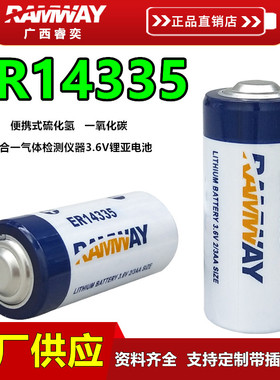 睿奕ER14335一氧化碳硫化氢检测仪3.6V电池2/3AA四合一气体报警器