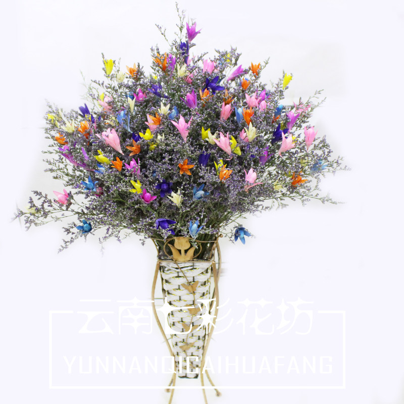【云南七彩花坊】永生干花真花开心果花束送朋友送闺蜜家居装饰