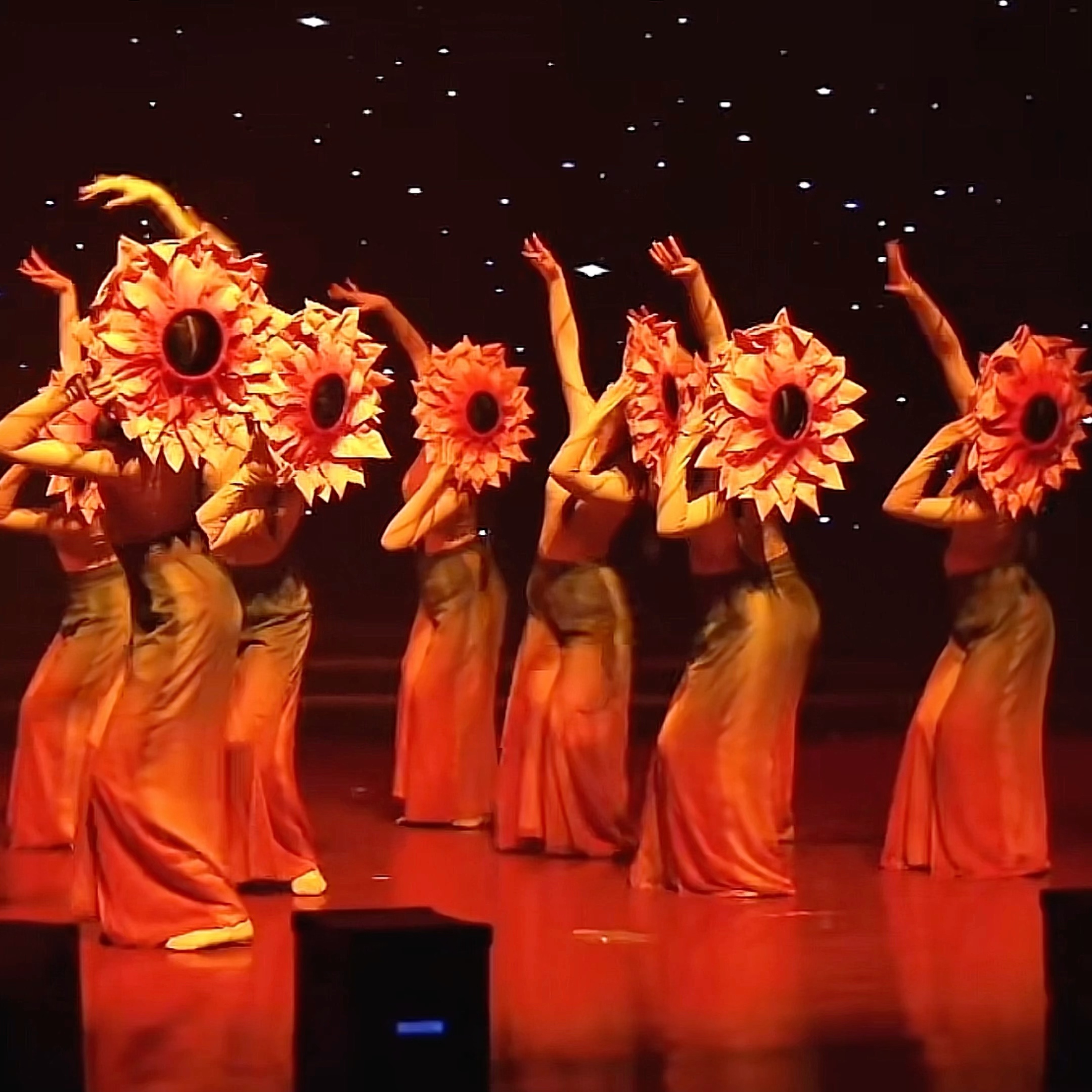 心若葵花舞蹈斗笠帽竹编太阳花帽