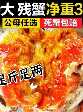 苏州净重1斤3斤大闸蟹现货鲜活螃蟹全母公母缺腿断腿蟹残次蟹残蟹