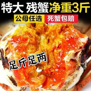 苏州净重1斤3斤大闸蟹现货鲜活螃蟹全母公母缺腿断腿蟹残次蟹残蟹