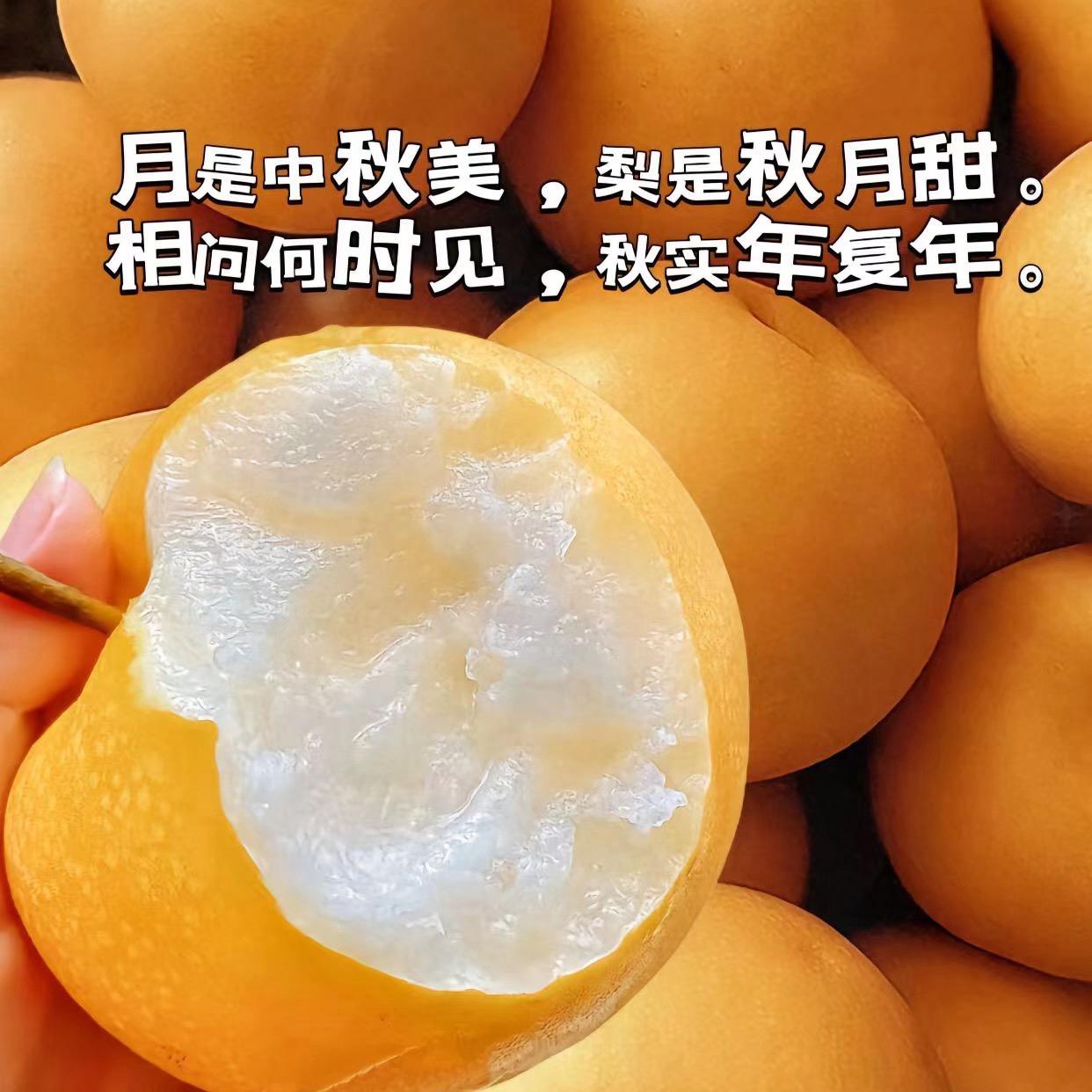 正宗秋月梨新鲜水果自产自销地头批发价生态种植汁水爆口皮薄个大