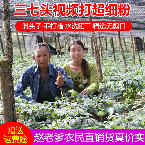 文山三七田七农家正品