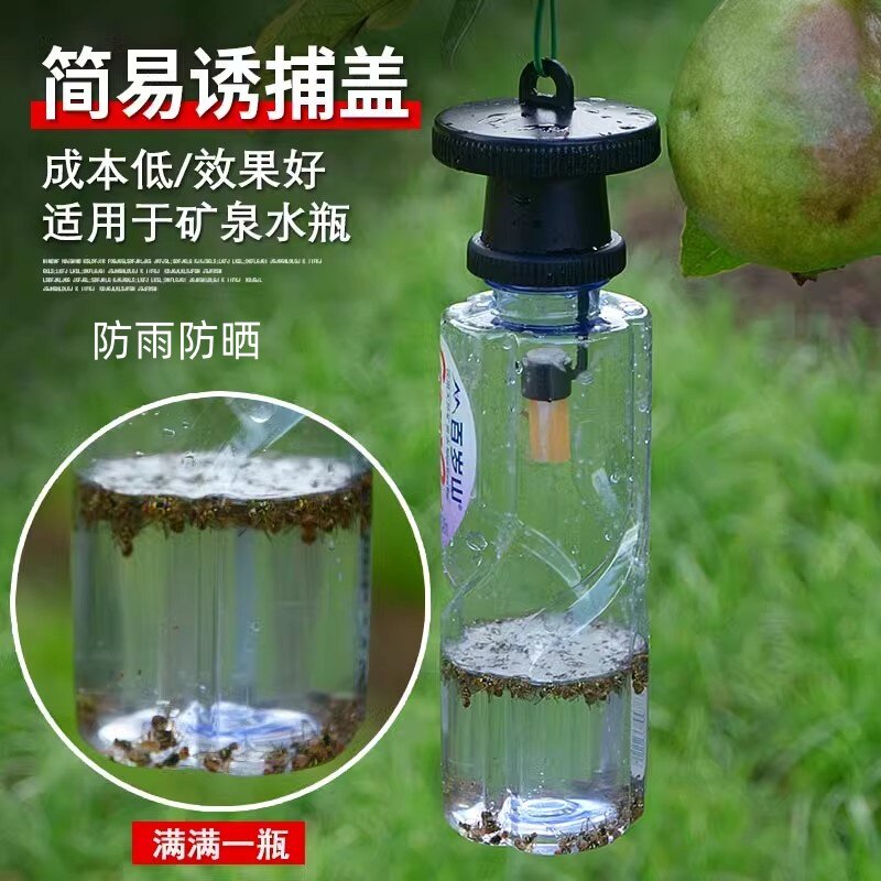 果实蝇引诱剂针蜂诱捕器专用液棉芯棒杀粘瓜锋食蝇果蝇信息素药水