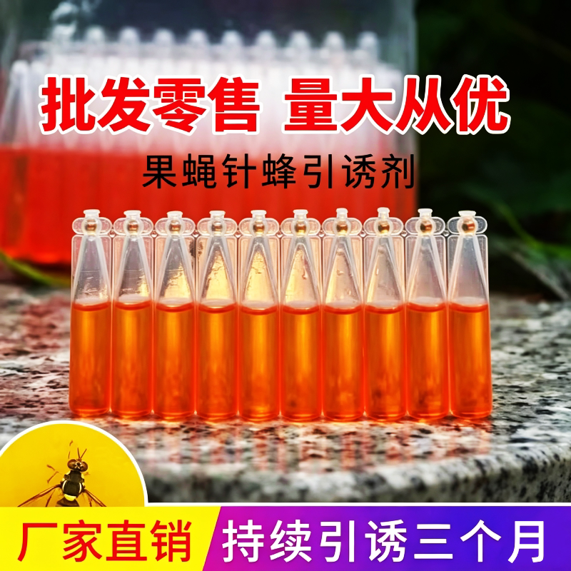 果实蝇引诱剂针蜂诱捕器专用液棉芯棒杀粘瓜锋食蝇果蝇信息素药水