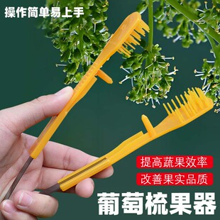 葡萄疏花梳果神器疏花夹梳花夹摘蕾器农用工具阳光玫瑰梳花神器