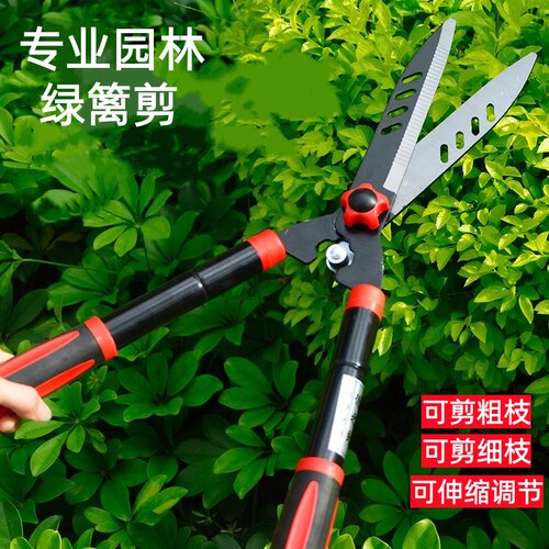 绿篱剪草坪剪园林园艺果树枝