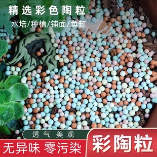 彩色陶粒颗粒花用垫底花卉铺面透气养花水培盆栽铺面石多肉营养