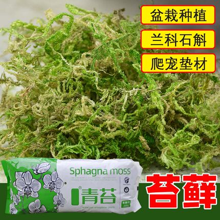 干苔藓水苔青苔兰花蝴蝶兰石斛种植专用营养土植料乌龟冬眠水台