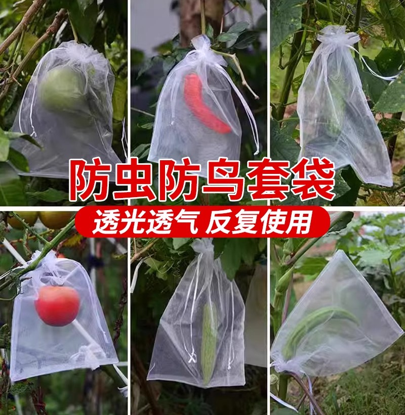 水果套袋防鸟防虫透气专用网袋葡萄无花果枇杷草莓杨桃子保护袋子